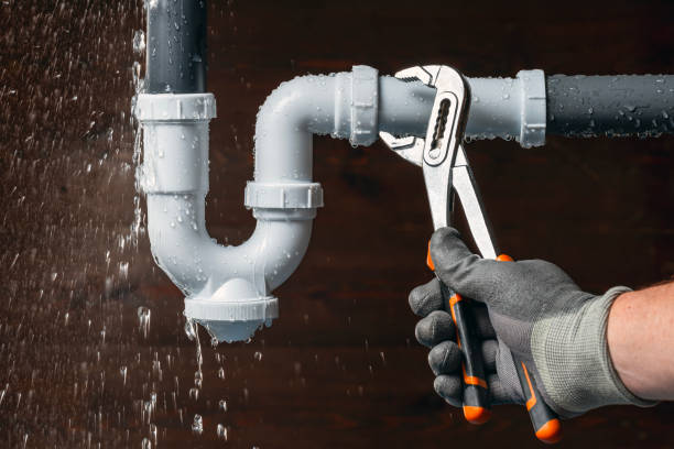 Professional Plumbing technician working in Santiago, MN